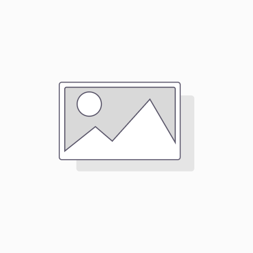فلتر هواء نيسان باترول ELEMENT ASSY 